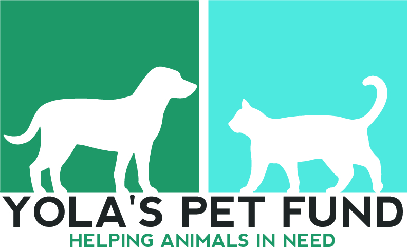 Yola's Pet Rescue - Cheyenne LEADS